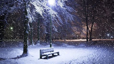 Download Snow Desktop Winter Night In A Park Wallpaper | Wallpapers.com