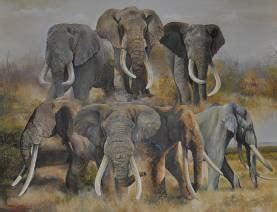 Kruger National Park Elephants - Experience their Majesty - Kruger ...