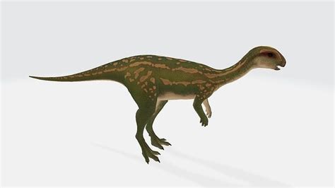 Dryosaurus dinosaur 3D model | CGTrader