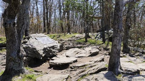 Appalachian National Scenic Trail | SPRINGER MOUNTAIN SUMMIT | Bringing you America, one park at ...