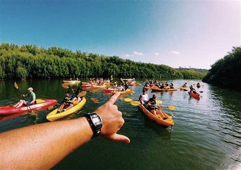 Kayaking on a beautiful day!! That's what we like to see | Kayaking near me, Kayaking tips ...