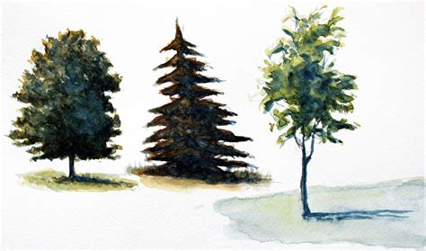 How to Paint Trees with Watercolor | Tree painting, Watercolor trees ...