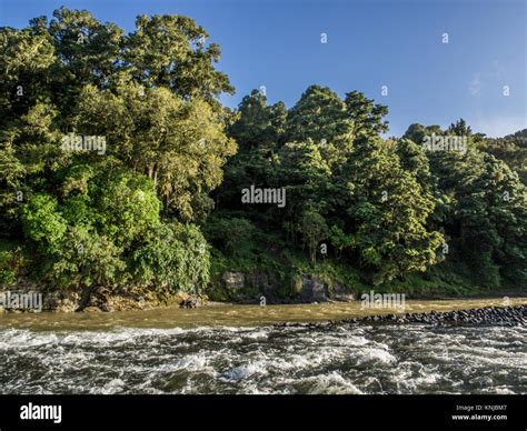 Whakapapa River confluence with Whanganui River, Kakahi, Ruapehu ...