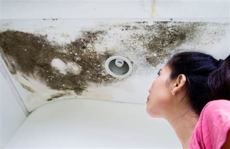 How to Check for Mold After Water Damage