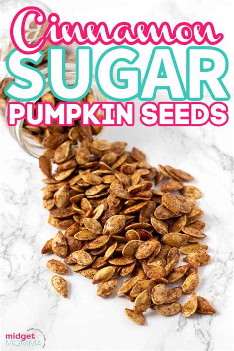 Cinnamon Sugar Pumpkin Seeds • MidgetMomma