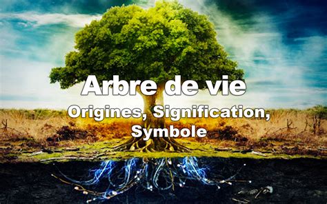 L’arbre de vie : origines, signification, symbole - Mybouddha - Blog ...