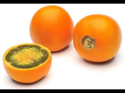 Naranjilla Fruit & its health Benefits - YouTube