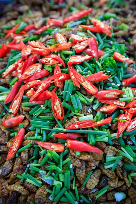 Fried Insects Bugs Street Food Stock Photo - Image of cambodian, nature: 264683256