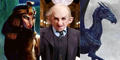 10 Smartest Magical Creatures In Harry Potter, Ranked