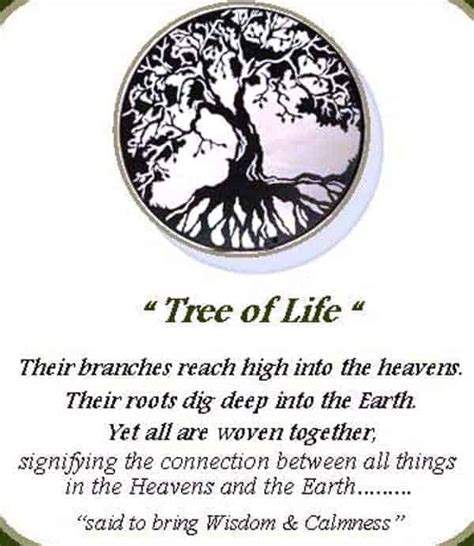 Tree Of Life | Aussie Made Metal Art