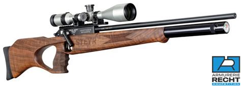 CARABINE A AIR STEYR HUNTING 5 AUTOMATIC - ARMES NEUVES - Carabines de ...