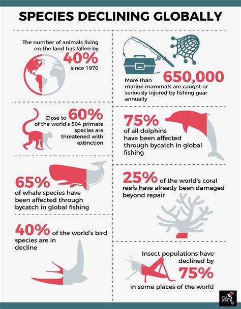 The Sixth Mass Extinction of Species – QR Learning Platform