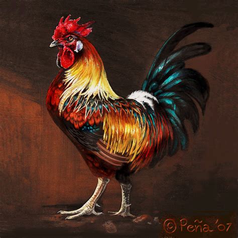 Rooster Wallpapers - WallpaperSafari