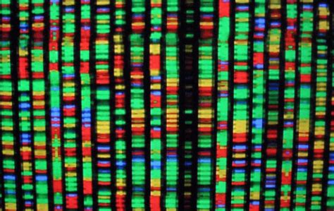 The History Of DNA Sequencing and Its Importance In Life Forms - Comeau ...