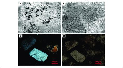 | Photos of microscope of morphology of polyhalite. (A) and (B)... | Download Scientific Diagram