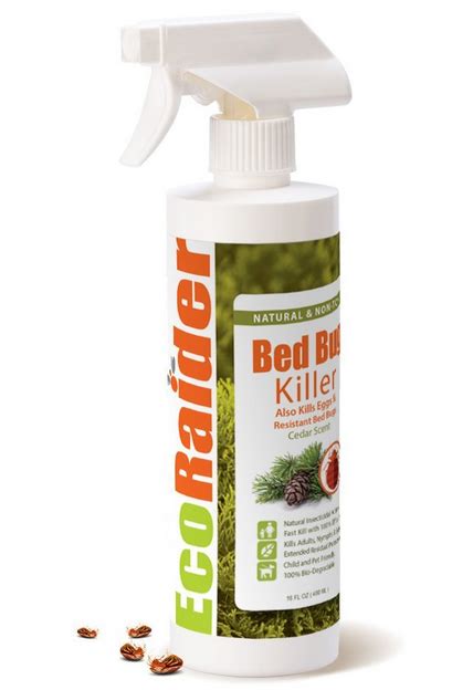 How Does Baking Soda Kill Bed Bugs? 4 Steps To Kill Bedbugs With Baking ...