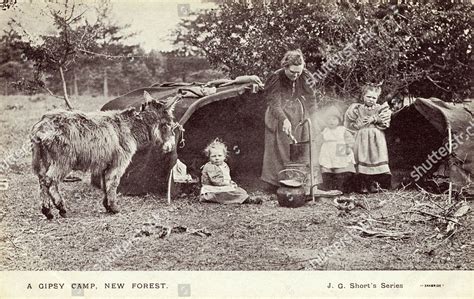 New Forest Gypsy Camp Circa 1906 Editorial Stock Photo - Stock Image ...