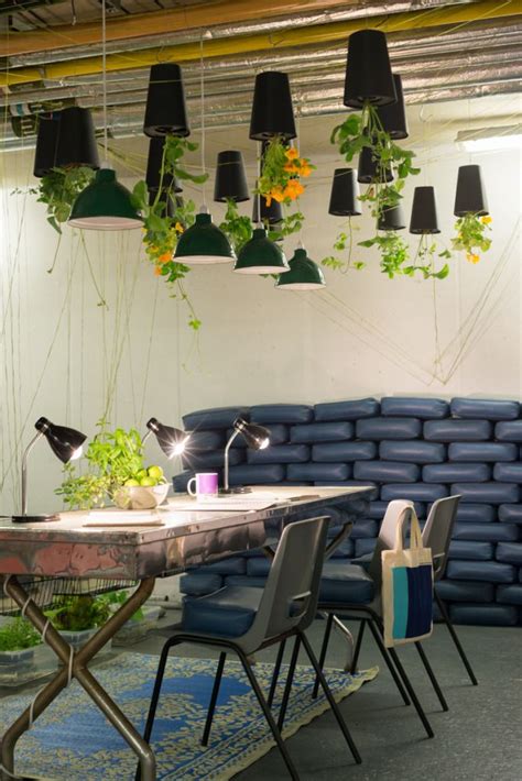 Bringing a space to life… Best plants for office productivity - Posture People | Office plants ...