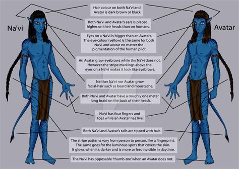 Na'vi - Avatar Guide: Basics by Jivra on DeviantArt | Avatar, Avatar movie, Avatar characters