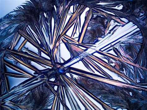 Photomicrographs of Crystals | William Horton Photography