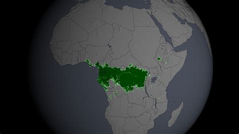 Congo Jungle Map