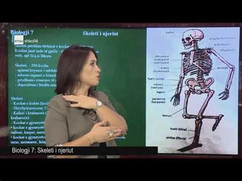 Biologji 7 - Skeleti i njeriut - YouTube