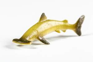 Grey hammerhead shark toy on white background (Flip 2020) - Creative Commons Bilder