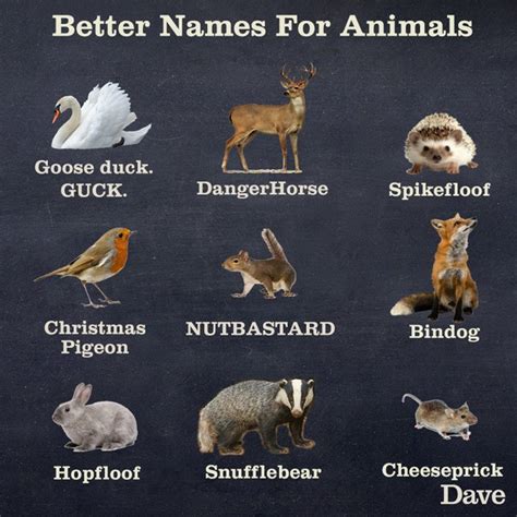 8 Funny Images Giving Better Names To Foods, Animals And More