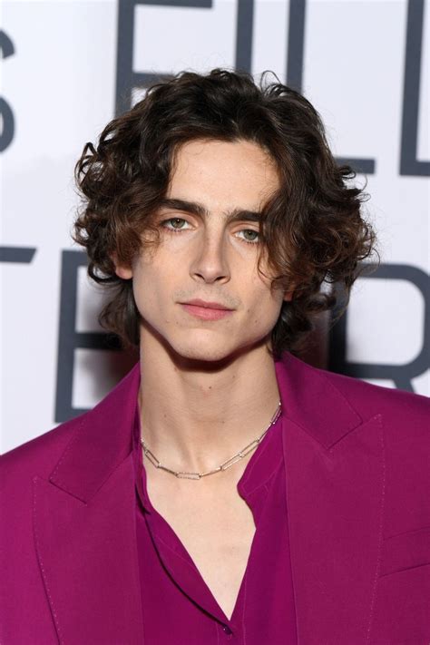 Timothee Chalamet Hairstyle - MenPath