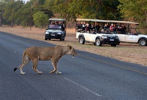 Botswana’s tourism sector seeks to boost business through direct UK/US ...