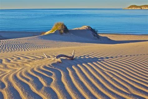 Los Algodones Sand Dunes, San Carlos, Sonora, Mexico by Craig Tissot ...