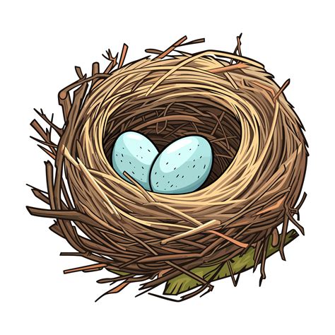 Bird nest with egg clipart, Illustration of a Bird Nest with Egg. 26721863 PNG