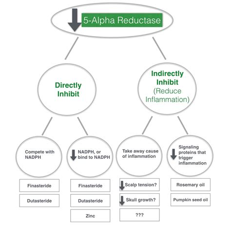 Attacking DHT: A Guide To Inhibiting 5-Alpha Reductase For Hair Loss