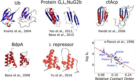 Protein Folding