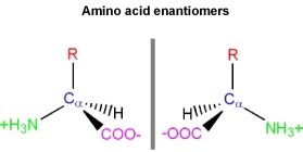 1.3.2. Stereochemistry of Amino Acids - Chemistry LibreTexts