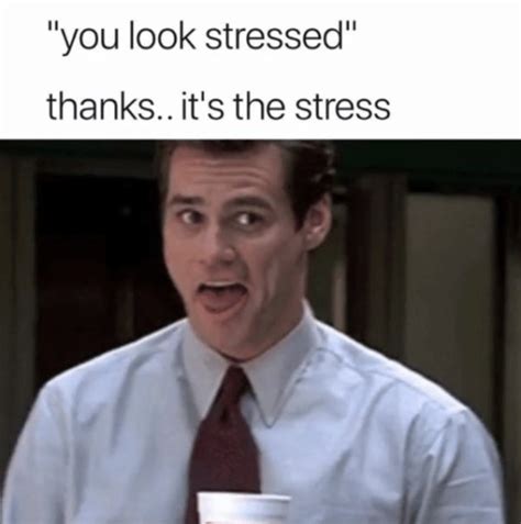 30 Memes About Stress That Will Make You Care A Bit Less - Feels ...