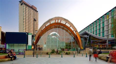 Sheffield Winter Garden Tours - Book Now | Expedia