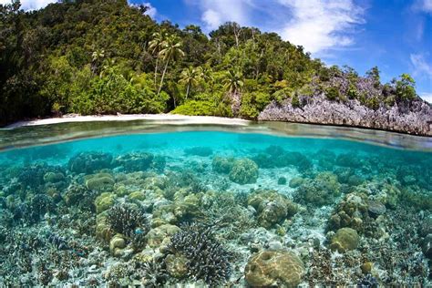 THE BEST SNORKELLING AND DIVING LOCATIONS IN PAPUA NEW GUINEA - Travel ...