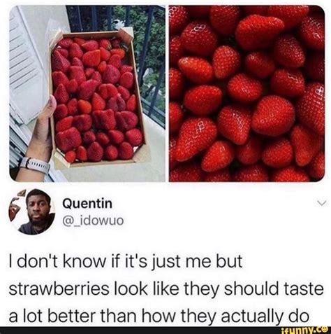 Strawberries look like they should taste a lot better than how they actually do - iFunny ...