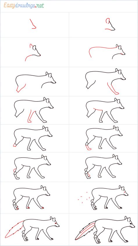 How To Draw A Wolf For Beginners Step By Step