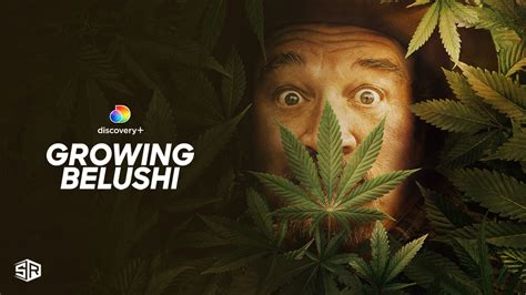 How To Watch Growing Belushi Season 3 on Discovery Plus Outside USA?