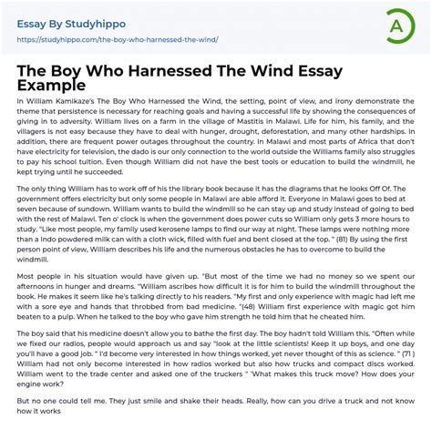 The Boy Who Harnessed The Wind Essay Example | StudyHippo.com