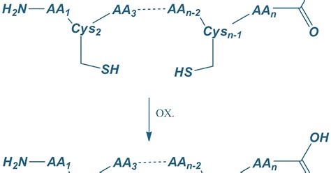 Peptide Synthesis: Cyclic Peptides