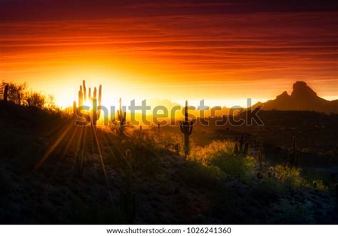 Desert Mountain Sunrise Mighty Saguaros Mountains Stock Photo 1026241360 | Shutterstock