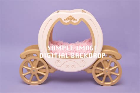 Digital Backdrop With Cinderella Carriage Prop Newborn