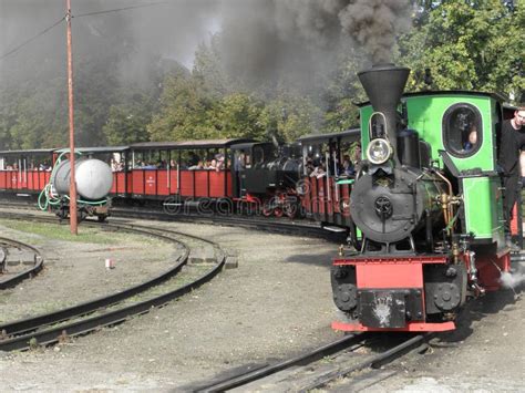 Narrow Gauge Steam Railway Train Editorial Image - Image of locomotives ...