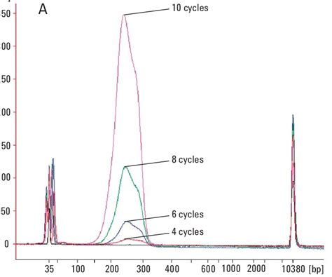 shows electropherograms of typical PCR amplified DNA libraries. The ...