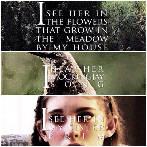 Hunger Games Quote / Catching Fire / Katniss / Rue New Hunger Games, Hunger Games Quotes, Hunger ...