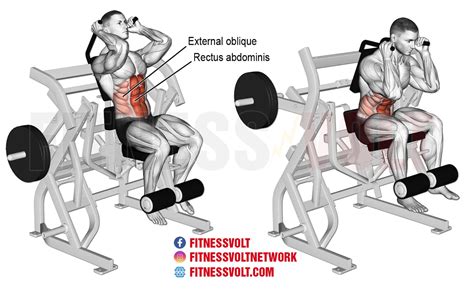 lying leg raise crunch > OFF-69%