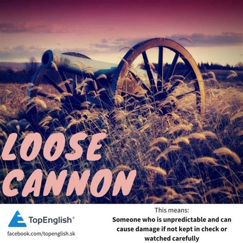 loose cannon | English idioms, Idioms, Unpredictable